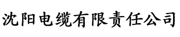 草莓国产最新在线电缆厂logo